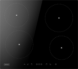 Induktionsfeld Reparatur Bernburg